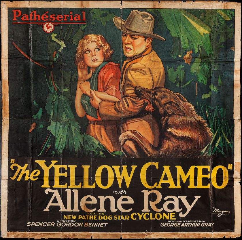 YELLOW CAMEO, THE